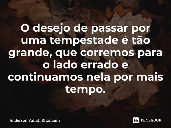 ⁠O desejo de passar por uma tempestade é tão grande, que corremos para o lado errado e continuamos nela por mais tempo.... Frase de Anderson Vailati Ritzmann.