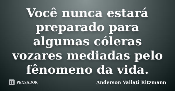 Você nunca estará preparado para algumas cóleras vozares mediadas pelo fênomeno da vida.... Frase de Anderson Vailati Ritzmann.