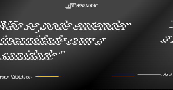 "Não se pode entender a insanidade com a sanidade"... Frase de Anderson Valadares.