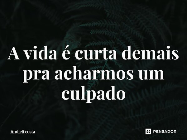 A vida é curta demais pra acharmos um culpado... Frase de Andieli costa.