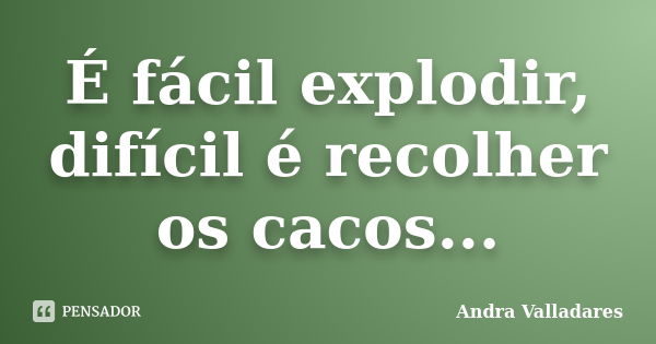 É fácil explodir, difícil é recolher os cacos...... Frase de Andra Valladares.