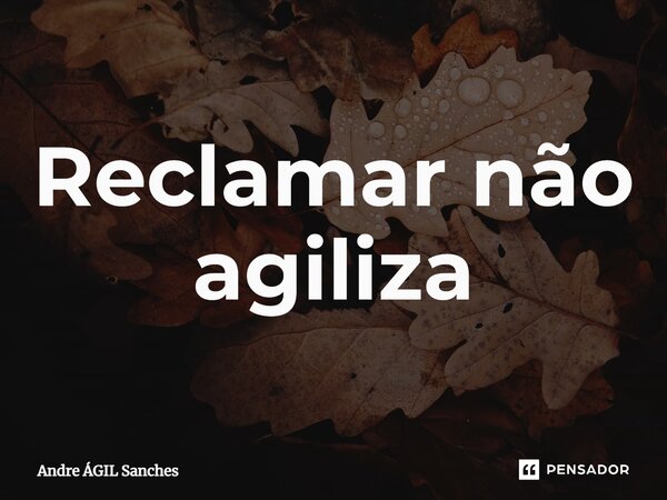 ⁠Reclamar não agiliza... Frase de Andre ÁGIL Sanches.