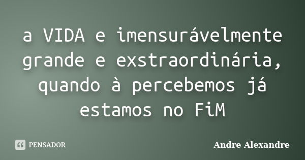 a VIDA e imensurávelmente grande e exstraordinária, quando à percebemos já estamos no FiM... Frase de Andre Alexandre.