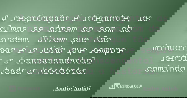 A respiração é ofegante, as almas se abrem ao som da ordem. Dizem que tão minuciosa é a vida que sempre certa e transcendental caminha toda a história.... Frase de André Anlub.