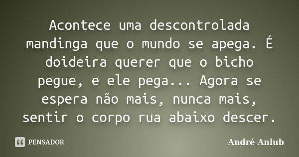 Acontece uma descontrolada mandinga que o mundo se apega. É doideira querer que o bicho pegue, e ele pega... Agora se espera não mais, nunca mais, sentir o corp... Frase de André Anlub.