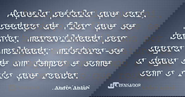 Aquela pétala que cai, pedaço de flor que se banha, maravilhada por agora molhada; mistura-se a água de um tempo e some com o rio que rouba.... Frase de André Anlub.
