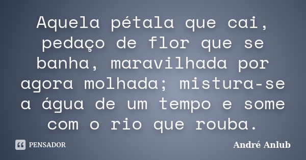 Aquela pétala que cai, pedaço de flor que se banha, maravilhada por agora molhada; mistura-se a água de um tempo e some com o rio que rouba.... Frase de André Anlub.