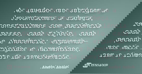 As quedas nos obrigam a levantarmos a cabeça, reconstruirmos com paciência cada passo, cada tijolo, cada pecado e inocência; erguendo-nos mais rígidos e harmôni... Frase de Andre Anlub.