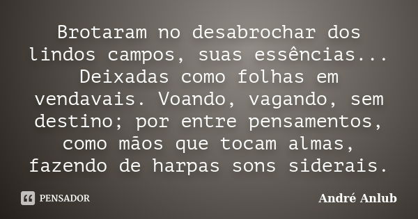 Brotaram no desabrochar dos lindos campos, suas essências... Deixadas como folhas em vendavais. Voando, vagando, sem destino; por entre pensamentos, como mãos q... Frase de André Anlub.