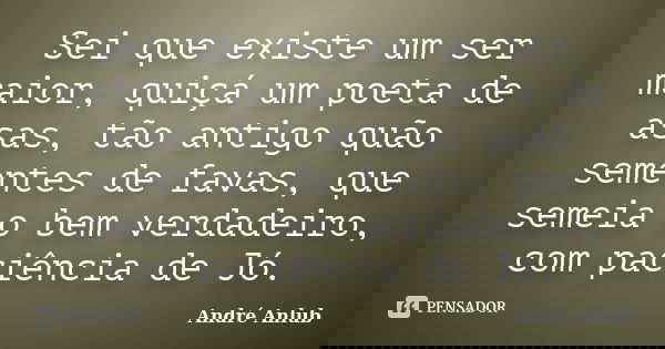 Sei que existe um ser maior, quiçá um poeta de asas, tão antigo quão sementes de favas, que semeia o bem verdadeiro, com paciência de Jó.... Frase de André Anlub.