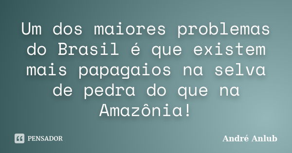 Um dos maiores problemas do Brasil é que existem mais papagaios na selva de pedra do que na Amazônia!... Frase de André Anlub.