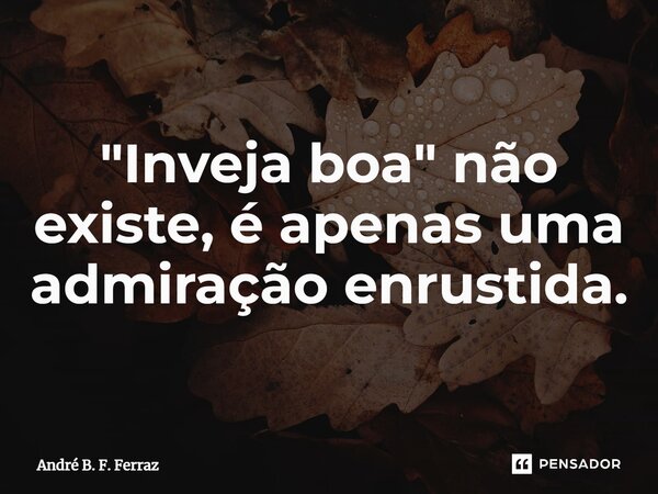 "Inveja boa" não existe, é apenas uma admiração enrustida.... Frase de André B. F. Ferraz.