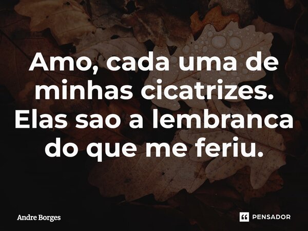 ⁠Amo, cada uma de minhas cicatrizes. Elas são a lembrança do que me feriu.... Frase de André Borges.