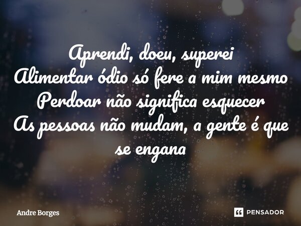 ⁠Aprendi, doeu, superei Alimentar ódio só fere a mim mesmo Perdoar não significa esquecer As pessoas não mudam, a gente é que se engana... Frase de André Borges.