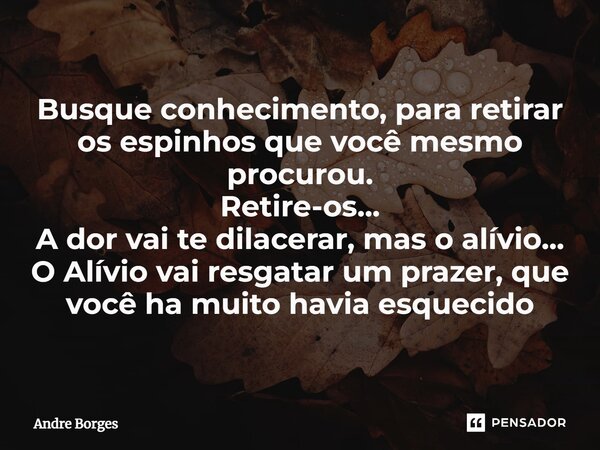⁠Busque conhecimento, para retirar os espinhos que você mesmo procurou. Retire-os... A dor vai te dilacerar, mas o alívio... O Alívio vai resgatar um prazer, qu... Frase de André Borges.