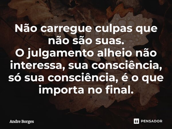 ⁠Não carregue culpas que não são suas. O julgamento alheio não interessa, sua consciência, só sua consciência, é o que importa no final.... Frase de André Borges.