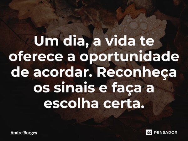⁠Um dia, a vida te oferece a oportunidade de acordar. Reconheça os sinais e faça a escolha certa.... Frase de André Borges.
