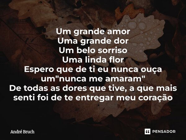⁠Um grande amor Uma grande dor Um belo sorriso Uma linda flor Espero que de ti eu nunca ouça um "nunca me amaram" De todas as dores que tive, a que ma... Frase de André Bruch.