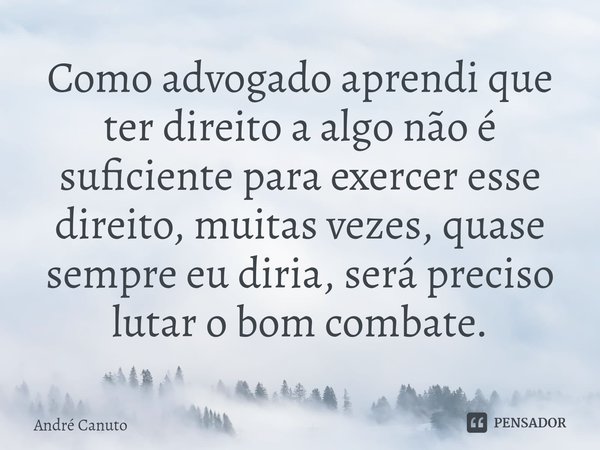 ⁠Como advogado aprendi que ter direito a algo não é suficiente para exercer esse direito, muitas vezes, quase sempre eu diria, será preciso lutar o bom combate.... Frase de André Canuto.