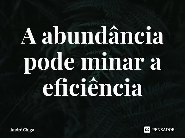 ⁠A abundância pode minar a eficiência... Frase de andre chiga.