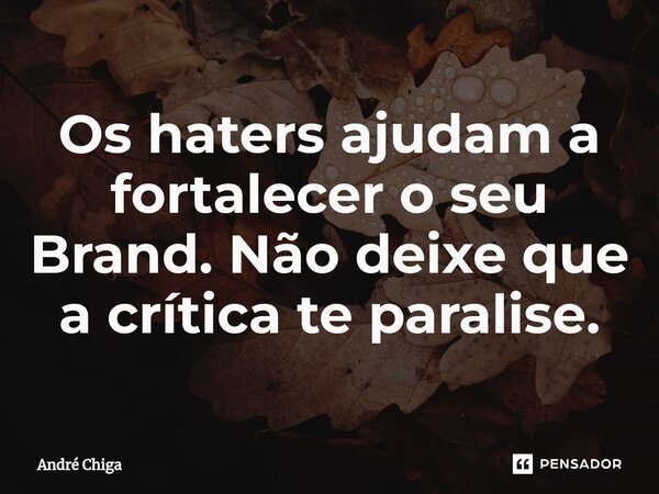 Os haters ajudam a fortalecer o seu Brand. Não deixe que a crítica te paralise.⁠... Frase de andre chiga.