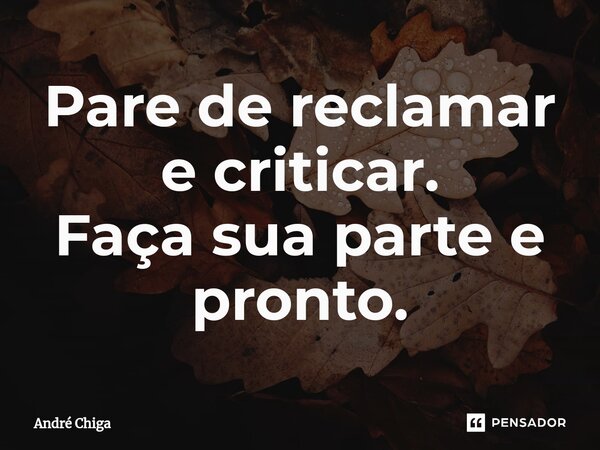 ⁠Pare de reclamar e criticar. Faça sua parte e pronto.... Frase de andre chiga.
