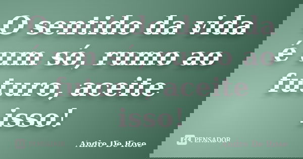 O sentido da vida é um só, rumo ao futuro, aceite isso!... Frase de André De Rose.