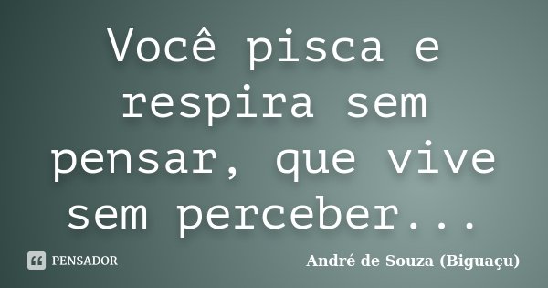 Você pisca e respira sem pensar, que vive sem perceber...... Frase de André de Souza (Biguaçu).