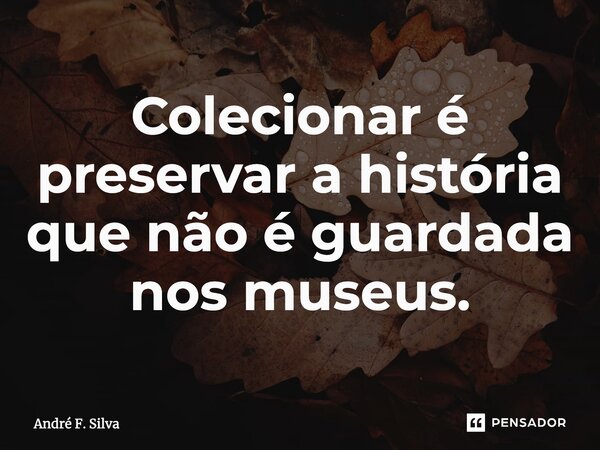 ⁠Colecionar é preservar a história que não é guardada nos museus.... Frase de André F. Silva.
