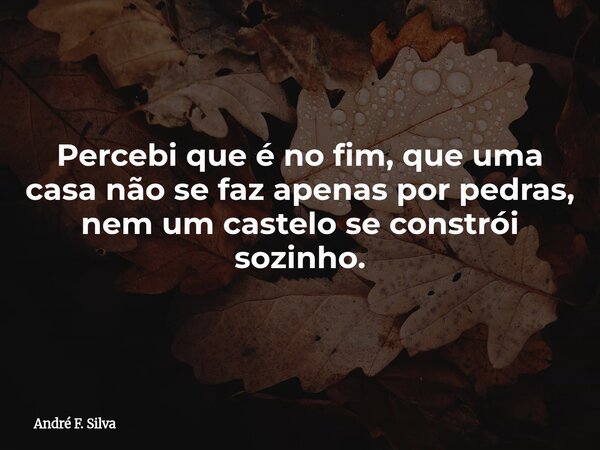 Percebi que é no fim, que uma casa não se faz apenas por pedras, nem um castelo se constrói sozinho.... Frase de André F. Silva.