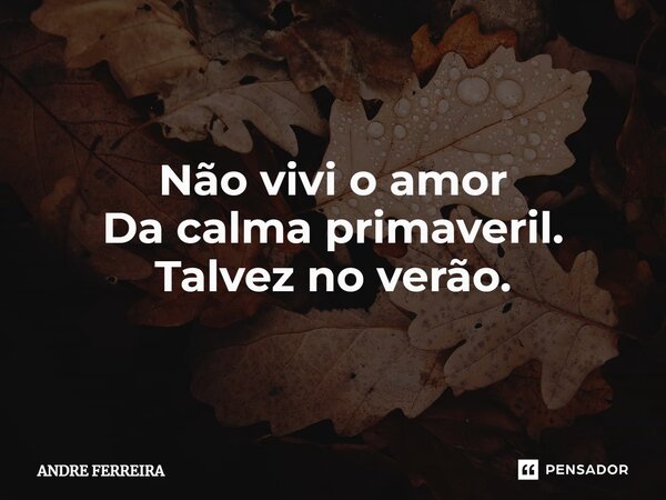 ⁠HAICAI Não vivi o amor Da calma primaveril. Talvez no verão.... Frase de André Ferreira.
