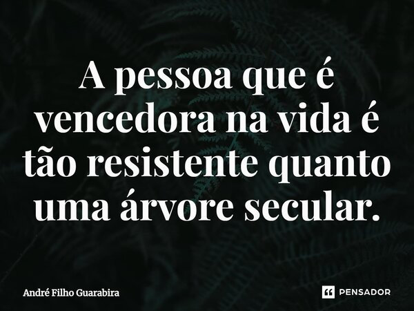 A pessoa que é vencedora na vida é tão resistente quanto ⁠uma árvore secular.... Frase de André Filho Guarabira.