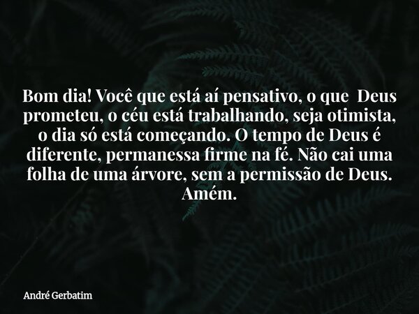 Bom dia! Você que está aí pensativo, o que Deus prometeu, o céu está trabalhando, seja otimista, o dia só está começando. O tempo de Deus é diferente, permaness... Frase de André Gerbatim.