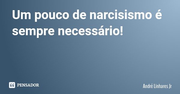 Um pouco de narcisismo é sempre necessário!... Frase de André Linhares Jr.