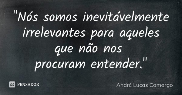 "Nós somos inevitávelmente irrelevantes para aqueles que não nos procuram entender."... Frase de André Lucas Camargo.