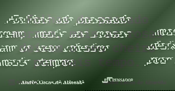 Folhas do passado morrem, mais as rosas deixam o seu cheiro por mais tempo.... Frase de Andre Lucas de Almeida.