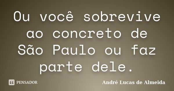 Ou você sobrevive ao concreto de São Paulo ou faz parte dele.... Frase de André Lucas de Almeida.