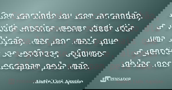 Com carinho ou com arranhão, a vida ensina mesmo todo dia uma lição, mas por mais que a gente se esforce, algumas delas nos escapam pela mão.... Frase de ANDRE LUIS AQUINO.