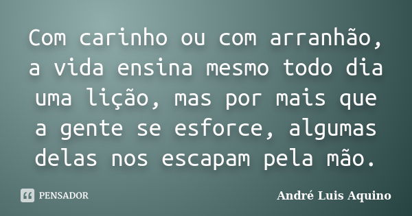 Com carinho ou com arranhão, a vida ensina mesmo todo dia uma lição, mas por mais que a gente se esforce, algumas delas nos escapam pela mão.... Frase de ANDRE LUIS AQUINO.