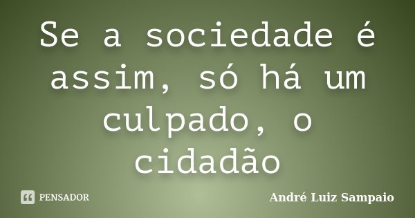 Se a sociedade é assim, só há um culpado, o cidadão... Frase de André Luiz Sampaio.