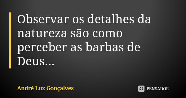 Observar os detalhes da natureza são como perceber as barbas de Deus...... Frase de André Luz Gonçalves.