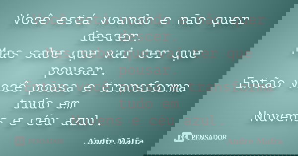 Você está voando e não quer descer. Mas sabe que vai ter que pousar. Então você pousa e transforma tudo em Nuvens e céu azul.... Frase de Andre Mafra.