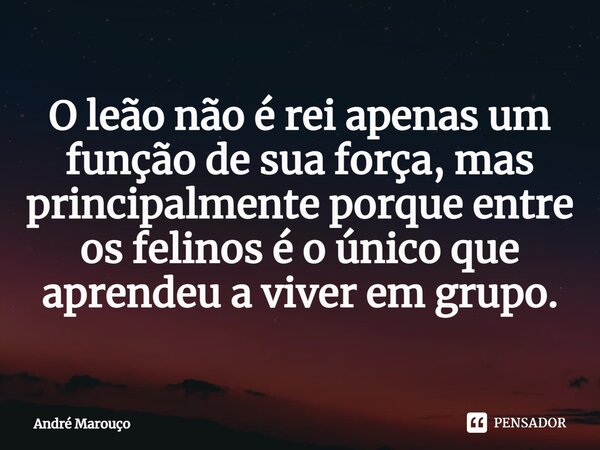 ⁠O leão não é rei apenas um função de sua força, mas principalmente porque entre os felinos é o único que aprendeu a viver em grupo.... Frase de André Marouço.