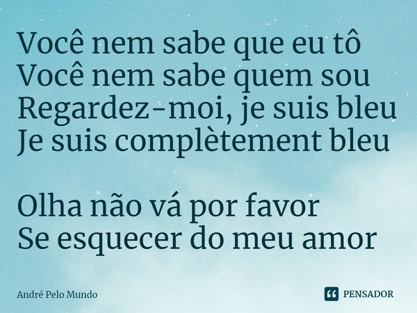 ⁠Você nem sabe que eu tô
Você nem sabe quem sou
Regardez-moi, je suis bleu
Je suis complètement bleu
Olha não vá por favor
Se esquecer do meu amor... Frase de André Pelo Mundo.