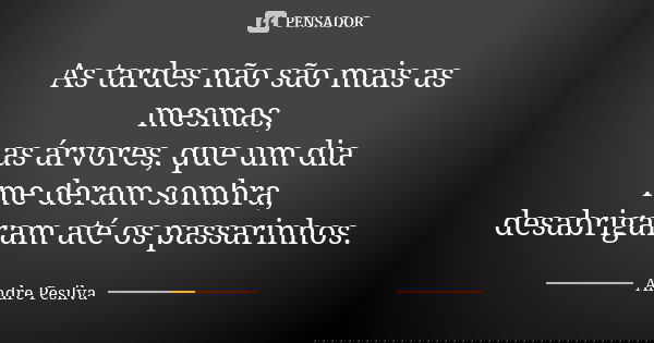 As tardes não são mais as mesmas, as árvores, que um dia me deram sombra, desabrigaram até os passarinhos.... Frase de Andre Pesilva.