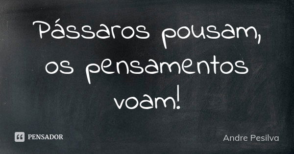 Pássaros pousam, os pensamentos voam!... Frase de Andre Pesilva.