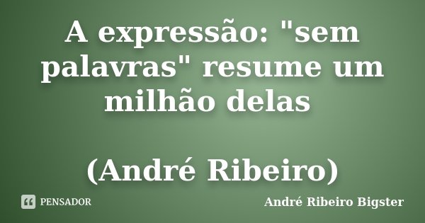 A expressão: "sem palavras" resume um milhão delas (André Ribeiro)... Frase de André Ribeiro Bigster.