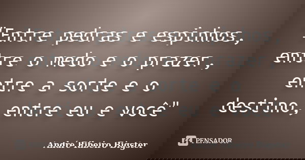 "Entre pedras e espinhos, entre o medo e o prazer, entre a sorte e o destino, entre eu e você"... Frase de André Ribeiro Bigster.