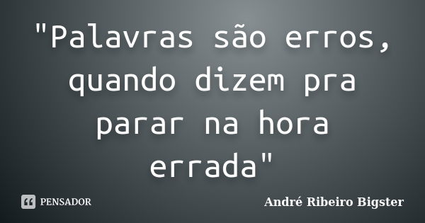 "Palavras são erros, quando dizem pra parar na hora errada"... Frase de André Ribeiro Bigster.