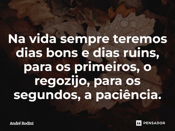 ⁠Na vida sempre teremos dias bons e dias ruins, para os primeiros, o regozijo, para os segundos, a paciência.... Frase de André Rodini.
